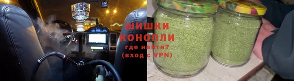 трава Белокуриха
