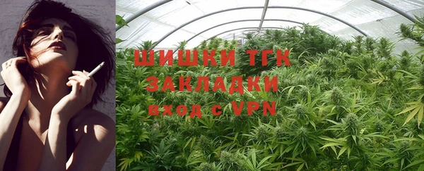 трава Белокуриха
