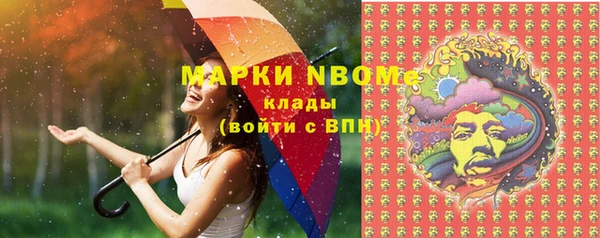трава Белокуриха