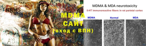 трава Белокуриха