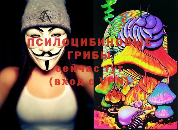 трава Белокуриха