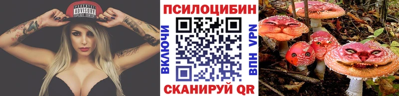 где купить наркотик  Бутурлиновка  Псилоцибиновые грибы Psilocybe 